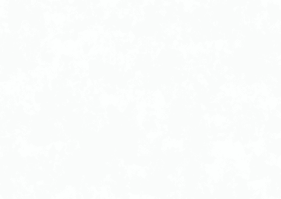 Декор Белая сеговия (арт. 1003 А)