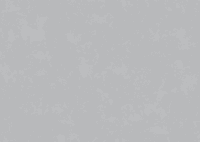 Декор Пепельная сеговия (арт. 8106 А)